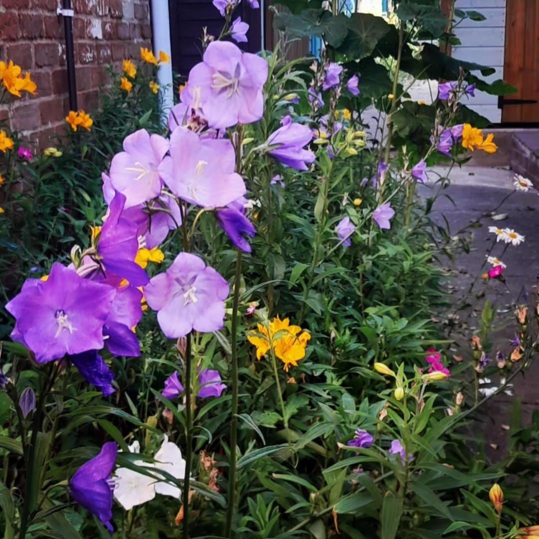 Hazel's Villa Leiston Dış mekan fotoğraf