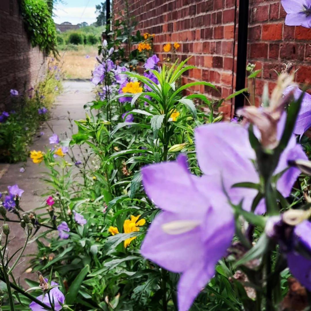 Hazel's Villa Leiston Dış mekan fotoğraf